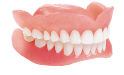 EconomyPlus Denture
