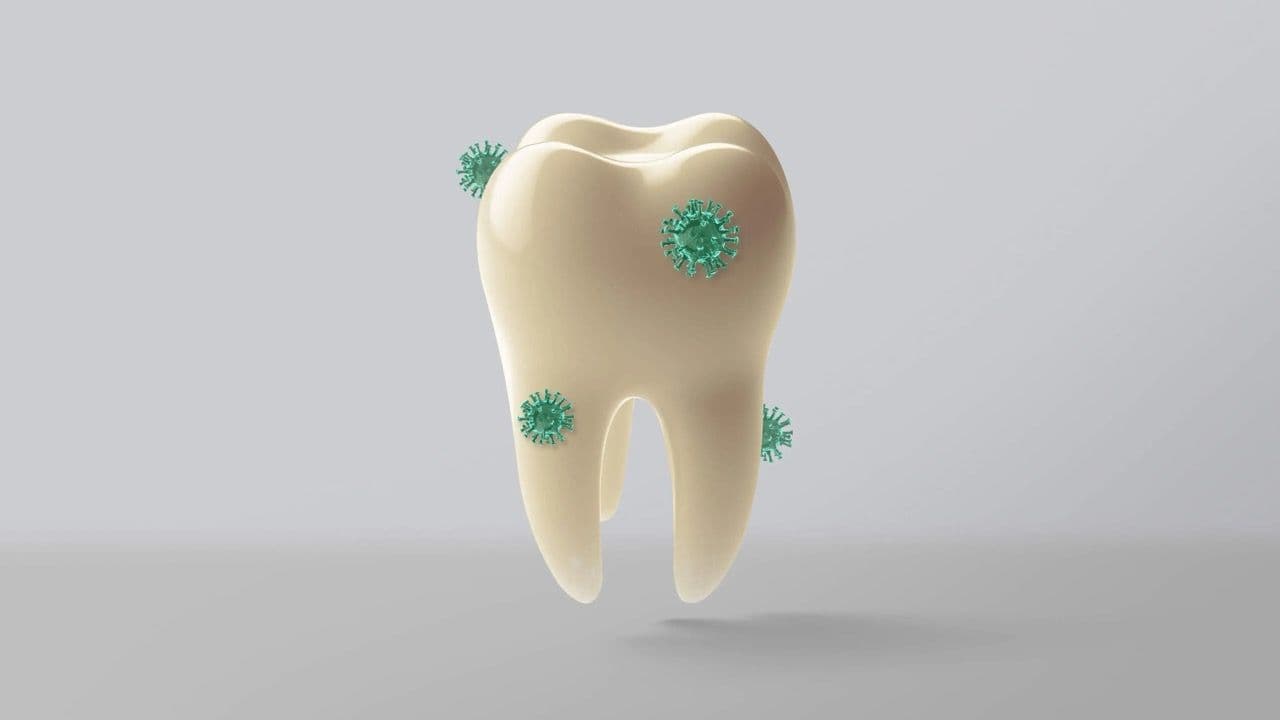A tooth with bacteria on it